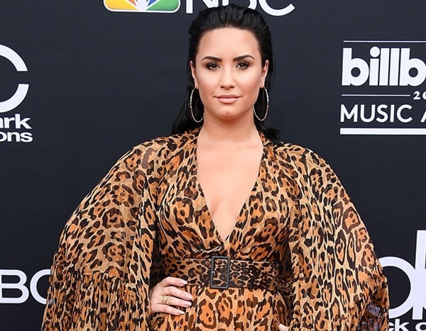 Demi Lovato's Postmates Receipt Proves Her Dogs Live Like True Royalty